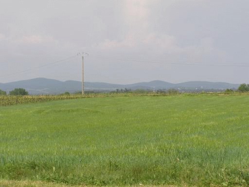 Flat leisure land of 10,000 m² located 500 m from a village with all amenities.