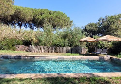 Belle maison de campagne au cœur des vignes, sur 4000 m² de terrain avec piscine, proche de toutes commodités
