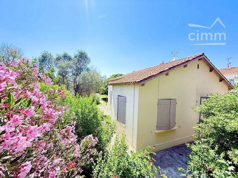 SINGLE-STORY HOUSE — 1000 M² PLOT