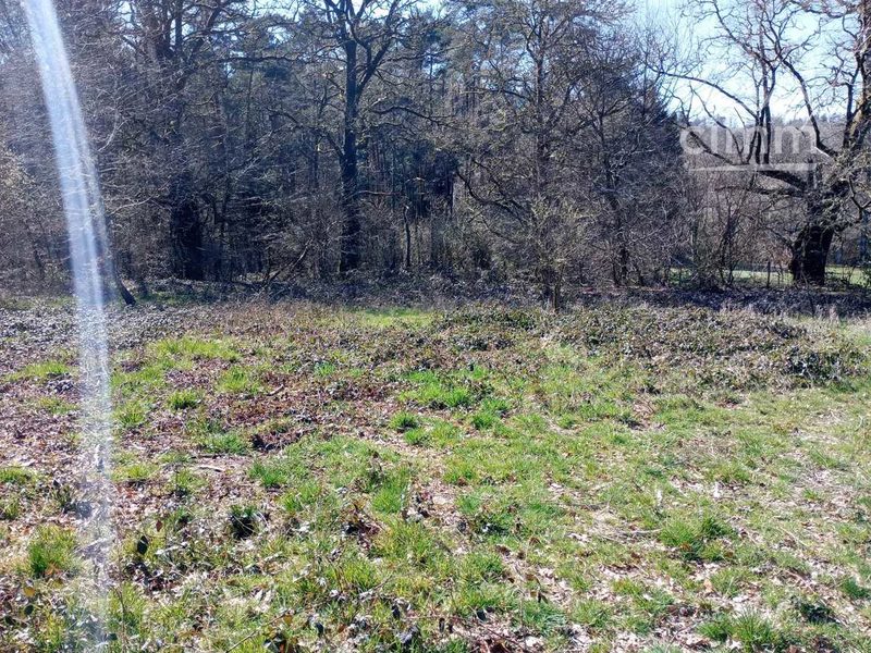 Onroerend goed 1300 m² in Royère-de-Vassivière