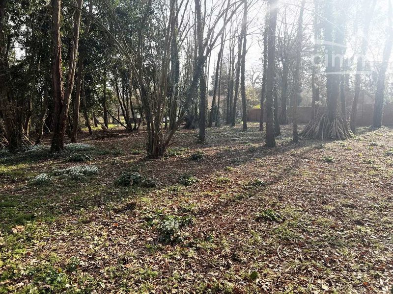 Bouwgrond in gewilde sector