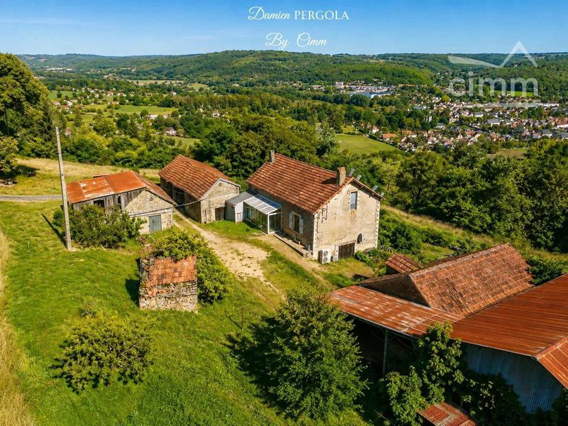 Boerenhoeve met bijna 3 hectare en een prachtig uitzicht – Zeldzaam aanbod in Montignac-Lascaux