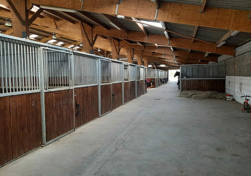 Professional equestrian property