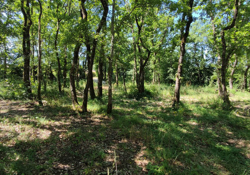 wooded land with open views of the surrounding countryside,