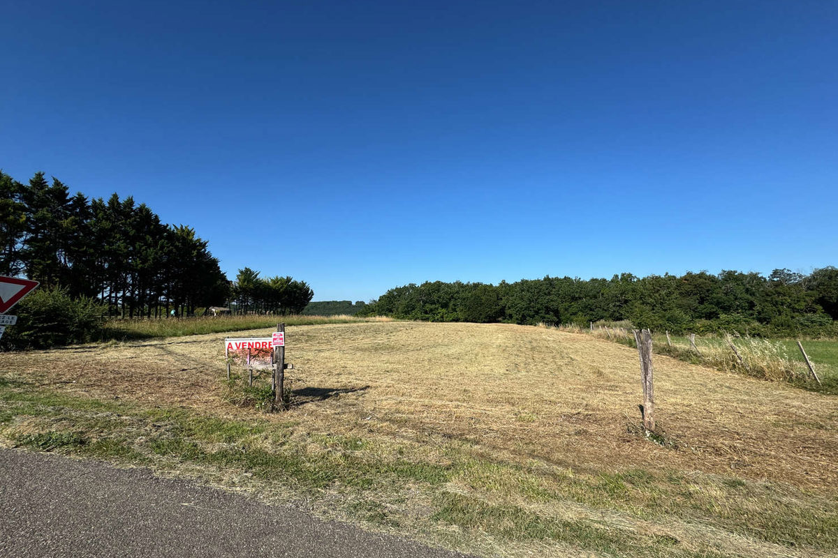 terrain à bâtir de 8157 m²
