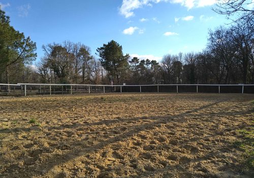 Stables and residential house on a training center
