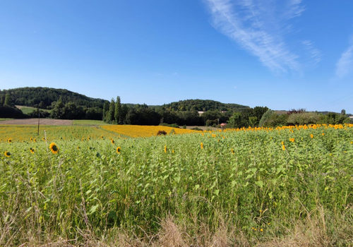 Buildable land with a beautiful view
