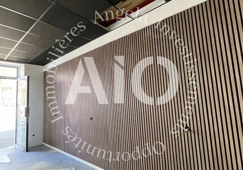 Commercial Walls for Sale on Rue du Bourbonnais in Vaise 33.40