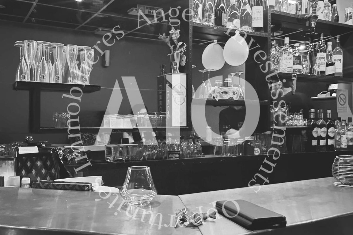 Business assets Bar in Lyon 6
