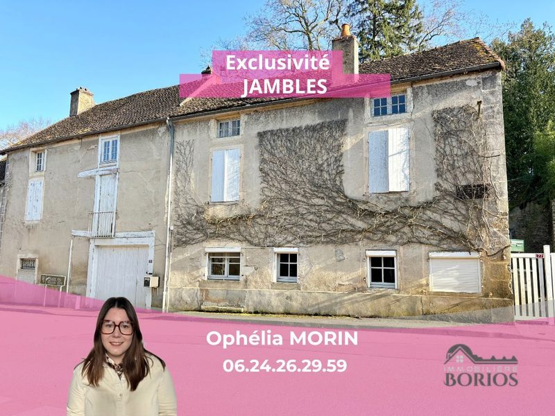 Ancienne maison de famille en Côte Chalonnaise