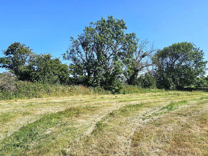 Plot de terrain constructible de 1 499 m2 dans un environnement calme