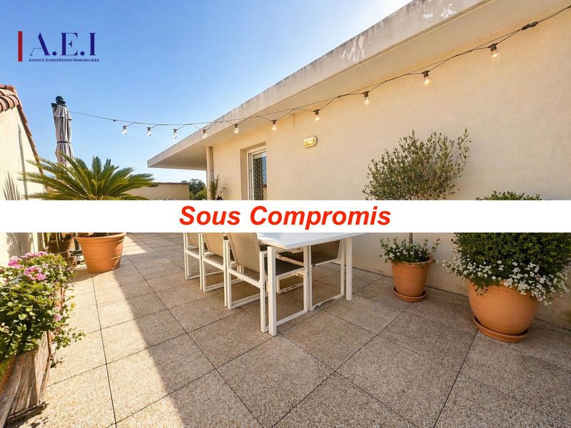 *Appartement T3 met een prachtig terras