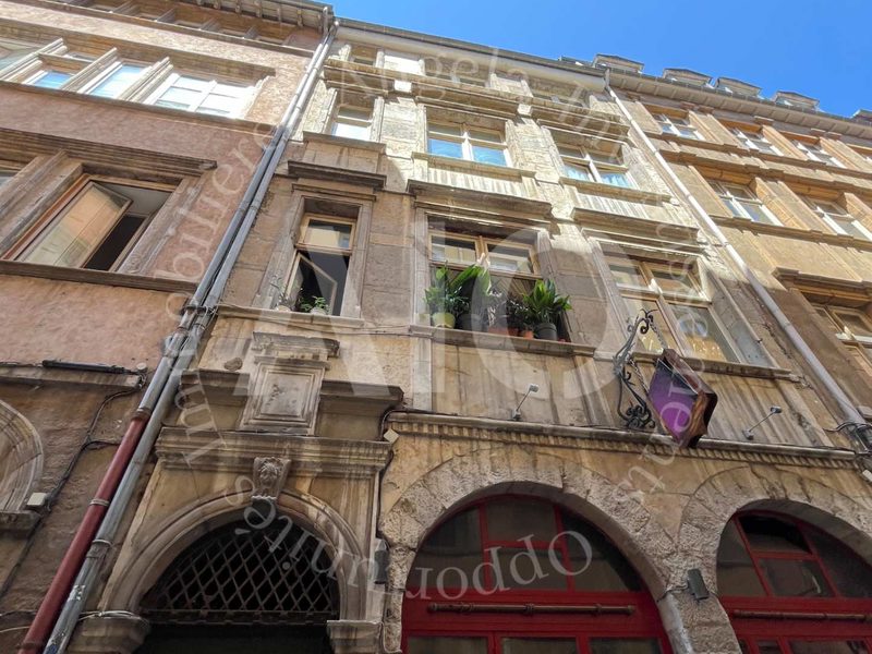 Onroerend goed in Lyon 5: Commerciële ruimtes + Drie studio's