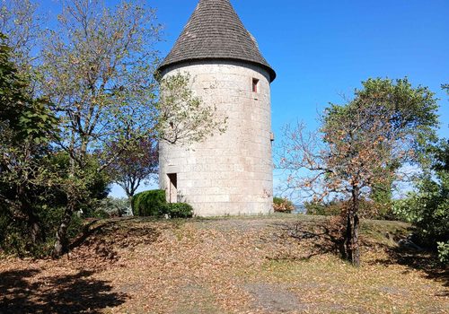 Property and its mill on more than 3 hectares
