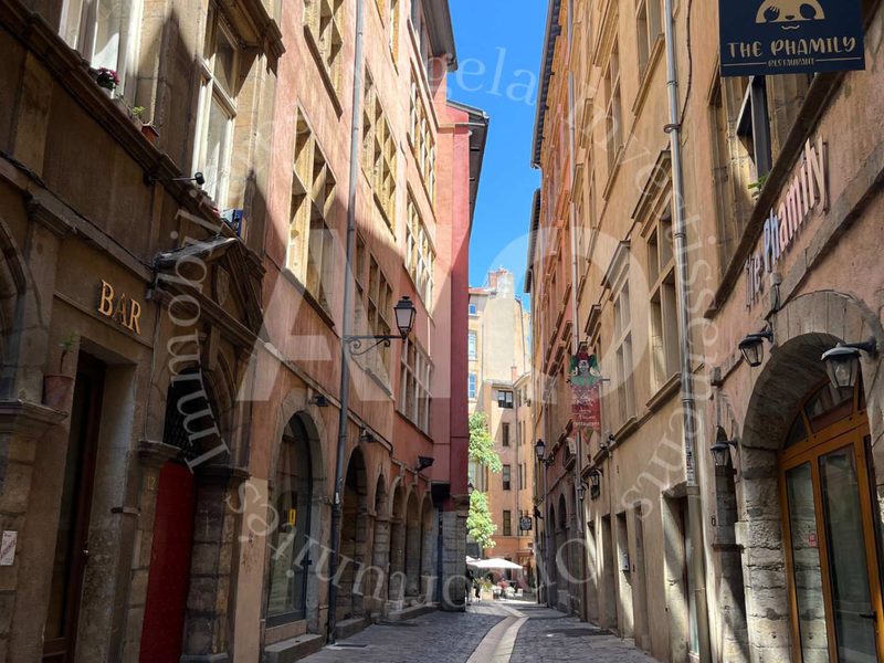 Lots de 3 studios aménagés avec mezzanine à Lyon 5e