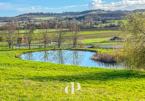 Beautifully Spacious Stone House on 4 Hectares of Wildflower