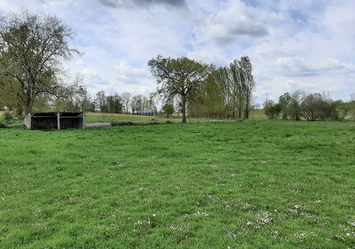 Professional equestrian property