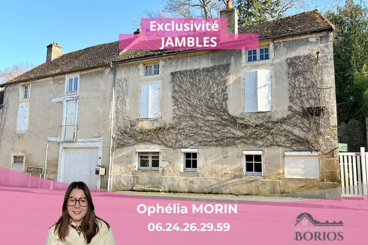 Old family house in Côte Chalonnaise
