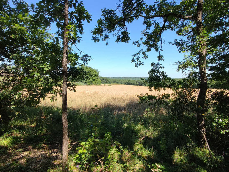 terrain boisé avec vue dégagée sur la campagne environnante,