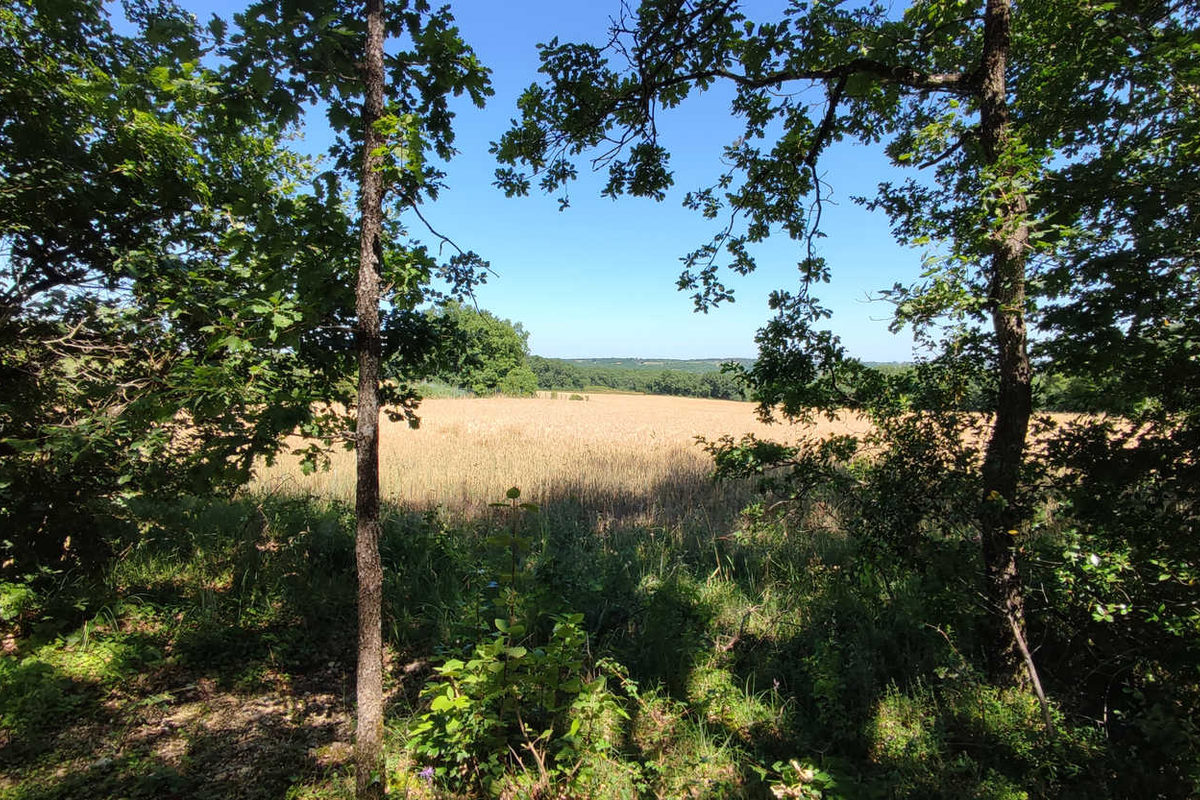 wooded land with open views of the surrounding countryside,