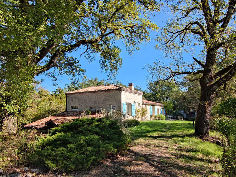 Charming Quercy house with studio, barn, and swimming pool