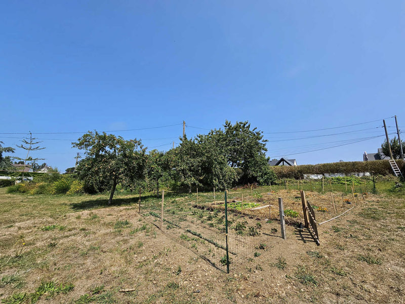 Bouwgrond