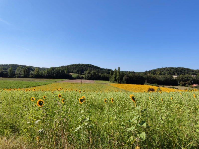 Buildable land with a beautiful view