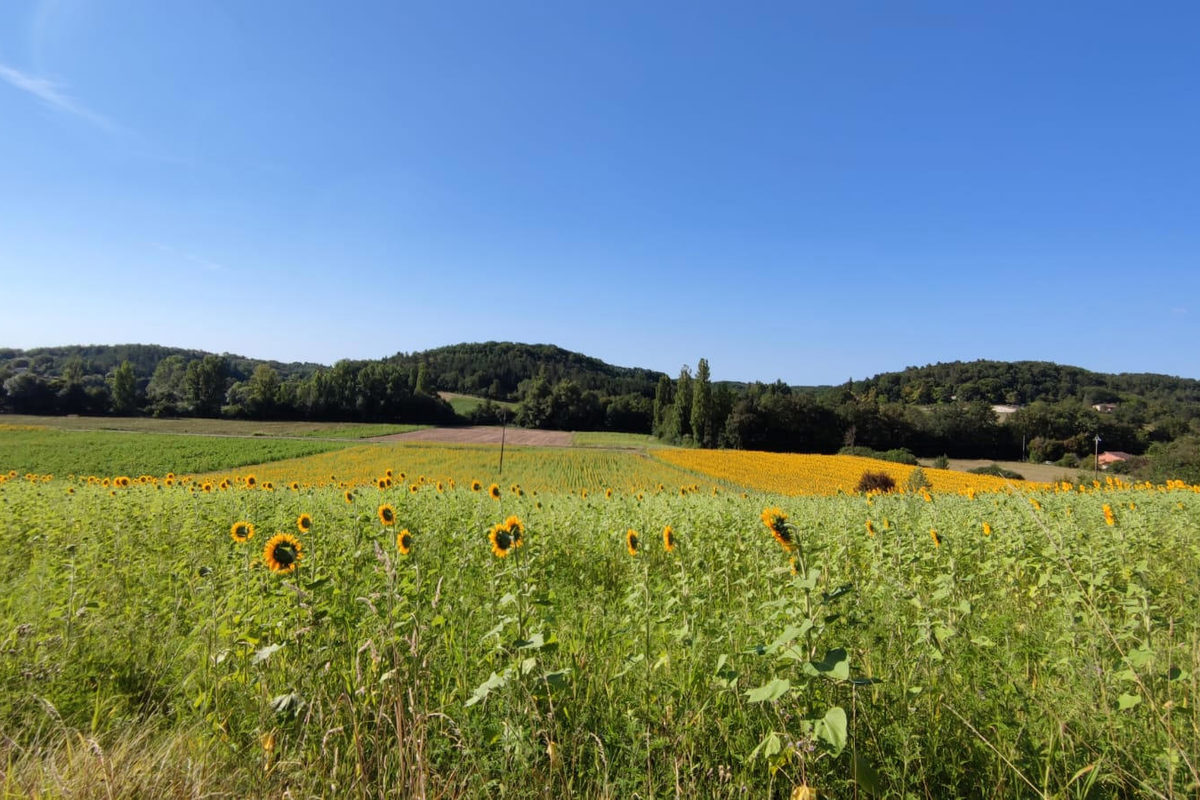 Buildable land with a beautiful view