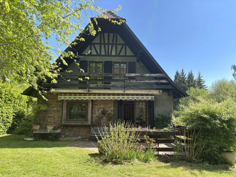 LE HOHWALD : ENSEMBLE MAISON + CHALET sur 19 ares