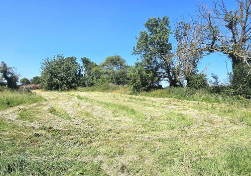 Building plot of 1,499 m2 in a quiet environment