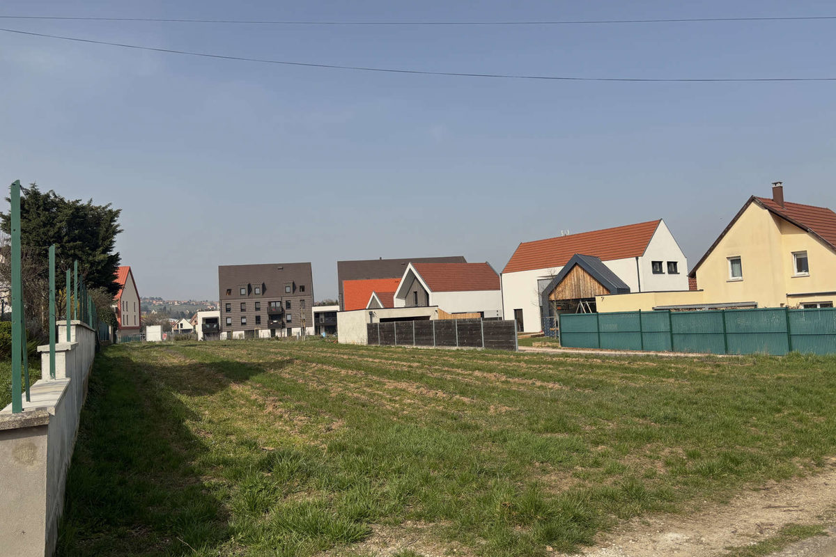 BARR : 6,5 ares : Terrain à bâtir plat en lotissement