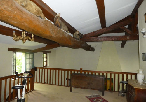 STEENHUIS MET 3 HA GROND