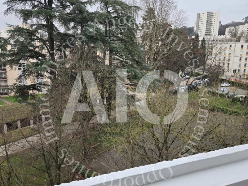 Appartement T3 kamers met balkons en kelder, Avenue de la Rép