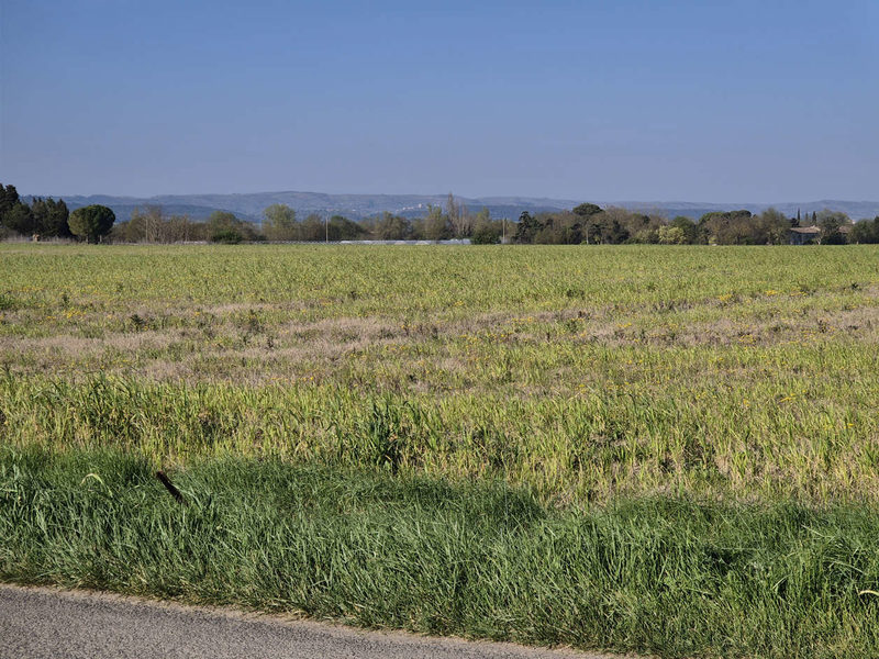 TERRES AGRICOLES ENTRE PEXIORA ET VILLASAVARY
