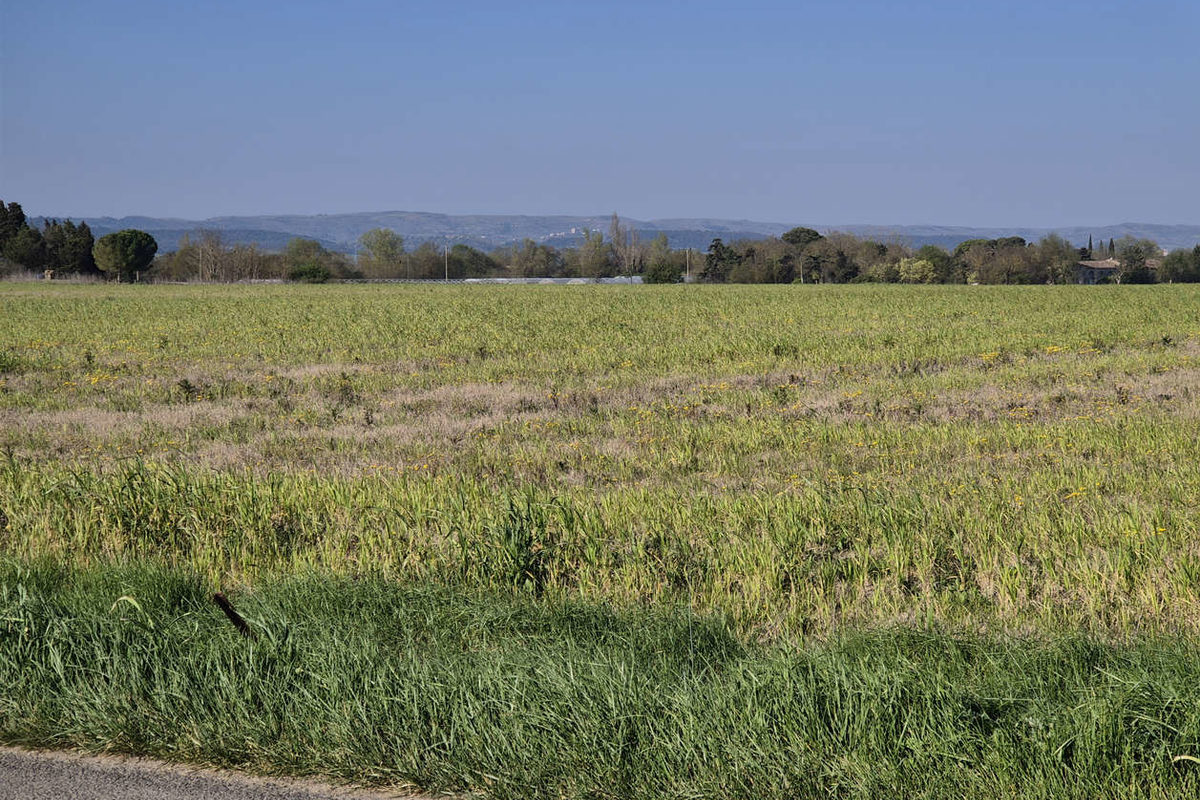TERRES AGRICOLES ENTRE PEXIORA ET VILLASAVARY
